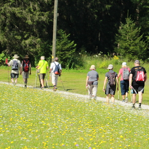 Wallfahrt nach Steyr Ursprung