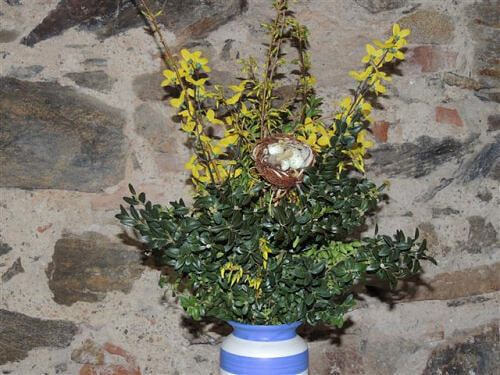 Lesung mit Patrick Addai