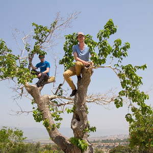 Bibelschule in Israel