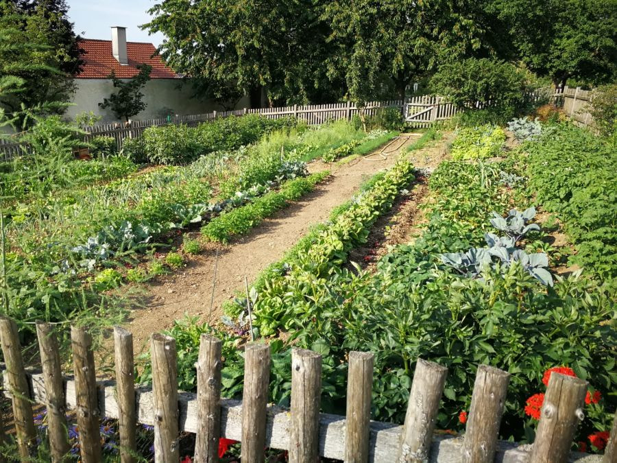 KFB-Ausflug / KFB Dorf KFB-Ausflug