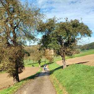 Gunskirchener Pilgertag 2022