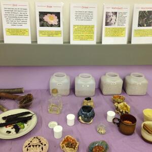 Gewürze und Nahrungsmittel 