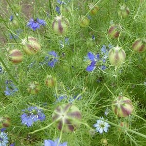 Seniorenausflug ins Mostviertel