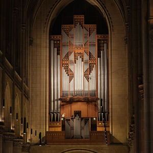 Die Rudigierorgel im Mariendom Linz