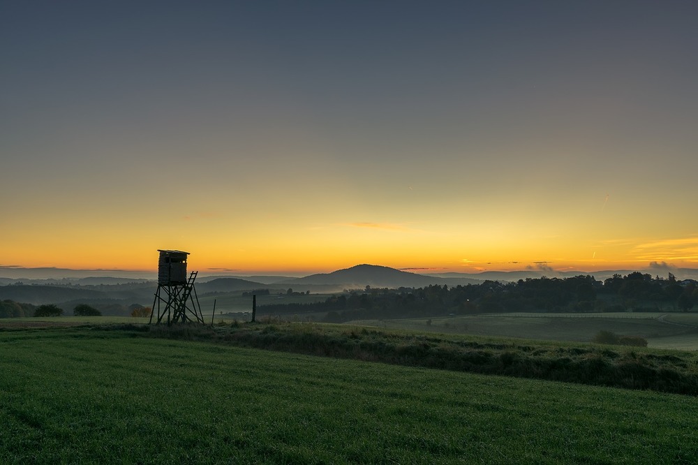 Hochstand am Feld