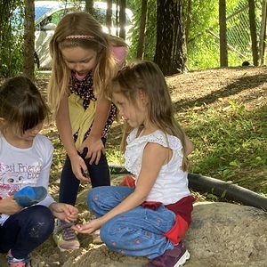Muschelsuche im Sand