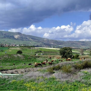 Eindrücke von der pfarrlichen Pilgerreise ins Hl. Land