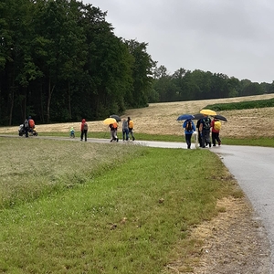 Die Fußwallfahrerinnen und -wallfahrer unterwegs Richtung Eggendorf im Traunkreis