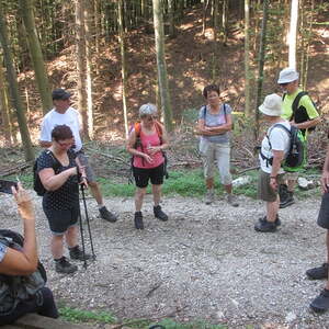 'Rund um den Wachtberg'