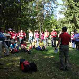 meditative Pilgerwanderung 28.4.18