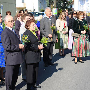 Palmweihe und Festzug