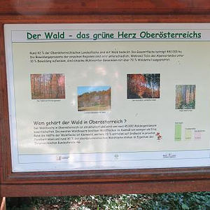 Naturerlebnisweg Pfarrwald Vöcklabruck
