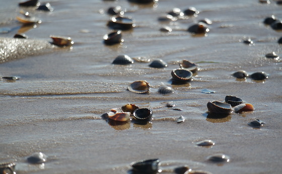 SAMSUNG CAMERA PICTURES