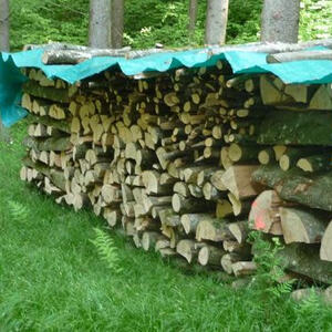 Firmvorbereitung und Firmung