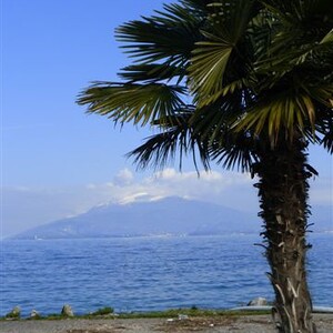 Pilgerfahrt nach Assisi vom 17. - 21. Februar 2014