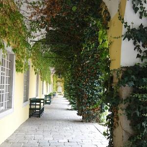 Ausflug für pflegende Angehörige