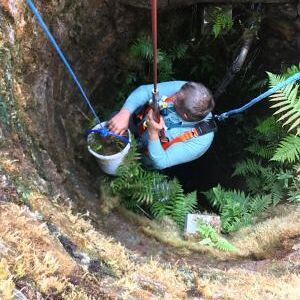 Brunnenreinigung 2022