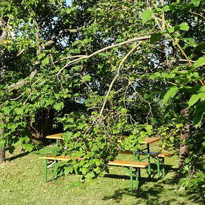 Pfarrfest 2016, Pfarre Neumarkt im Mühlkreis