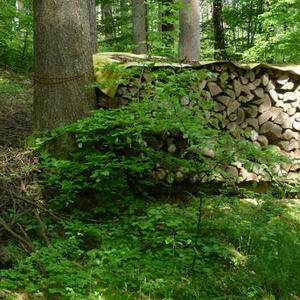 Firmvorbereitung und Firmung