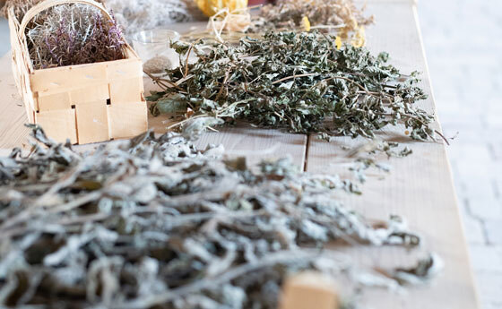 Heilkräuter / Barbara Wirl | Wirlphoto Heilkräuter