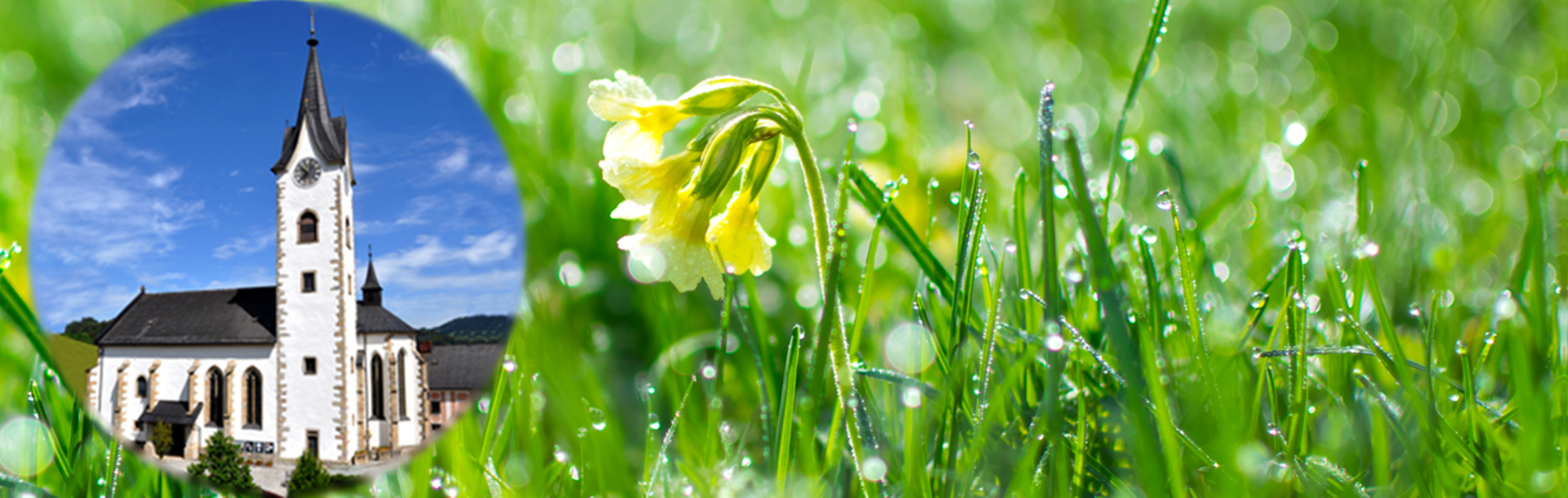 Pfarre Unterweißenbach