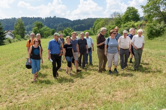 Bischof Manfred Scheuer und Bischofsvikar Wilhelm Vieböck wanderten gemeinsam mit hauptamtlichen MitarbeiterInnen von Freistadt nach St. Peter und wieder retour.