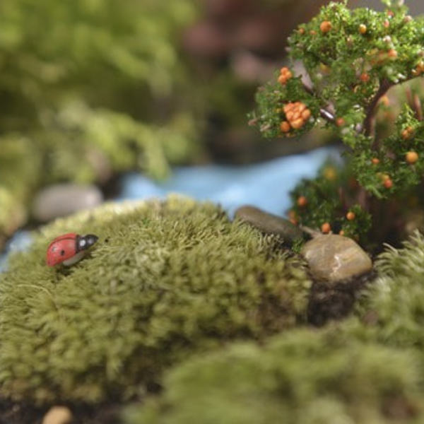 Märchenabend der KFB