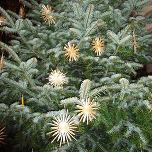 'Fest der Taufe Jesu'