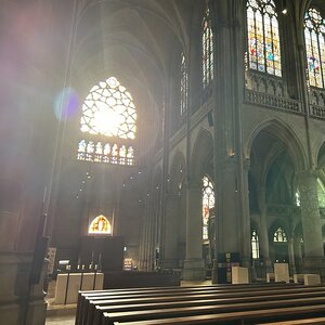 Magische Momente im Mariendom