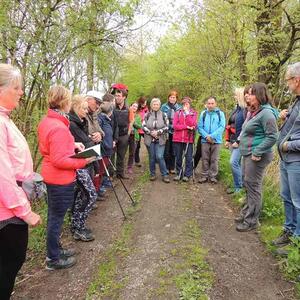 Pilgerwanderung 2022
