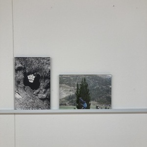 Ausstellung, 10.-11.10.2025, Haus der Frau