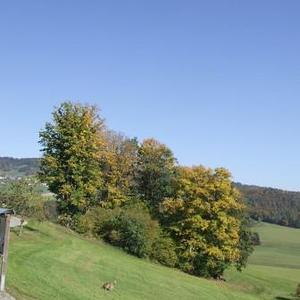 Wallfahrt Maria Bründl