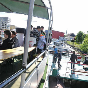 Firmprojekt Hochbeet