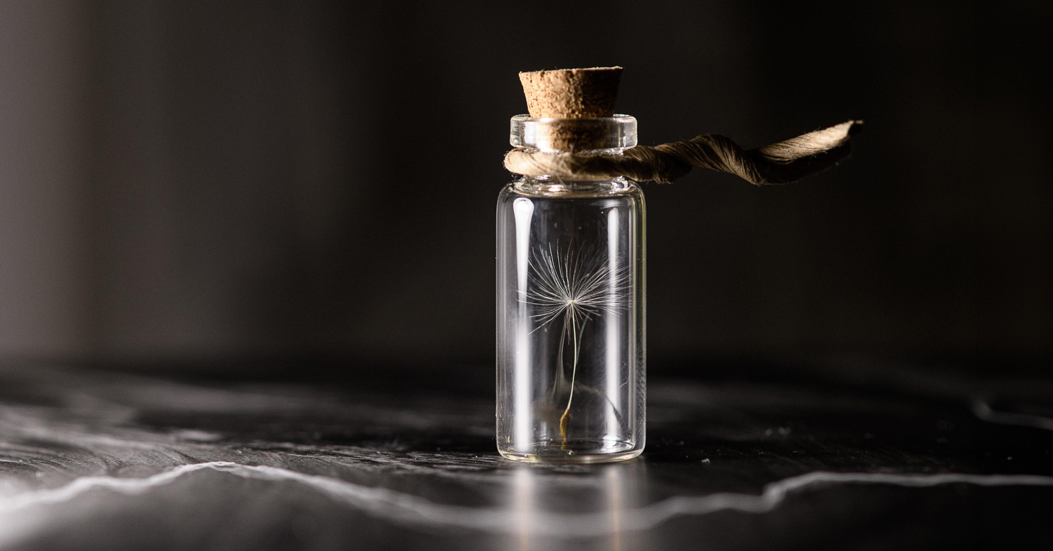 Hoffnungsgeschichten / © asundermeier/pixabay.com/Pixabay License Löwenzahn in einem Gläschen