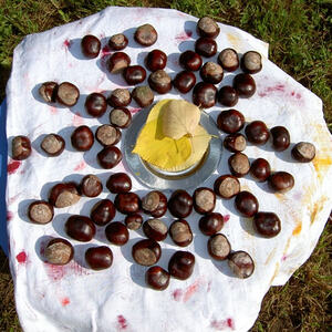 Kinderwortgottesdienst