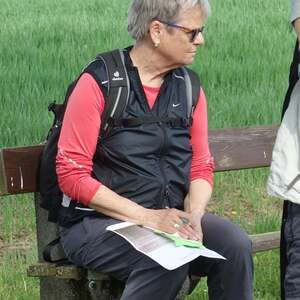 meditative Pilgerwanderung 28.4.18