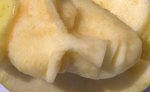 ich bin vergangen, du bist