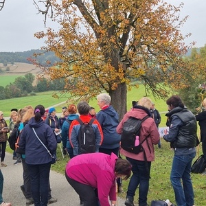 unterwegs auf dem Landschaftsrahmenweg