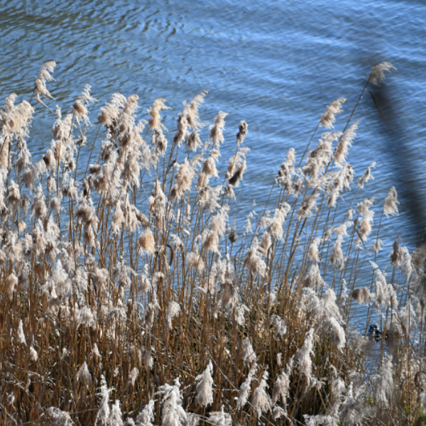 Heidewald Schieferegg - Umweltarbeit in der Diözese Linz