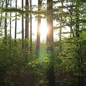 Emmausgang Ostermontag