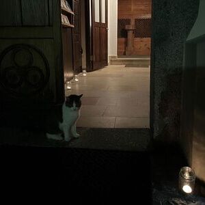 Nacht der 1000 Lichter