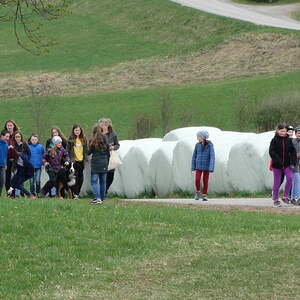 Ostern 2017, Pfarre Neumarkt im Mühlkreis