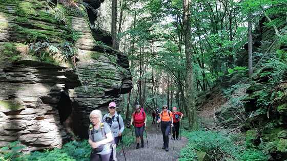 Fußwallfahrt nach Göttweig / © Berta Stadler Christi Himmelfahrt - 9.-11.5.2024
