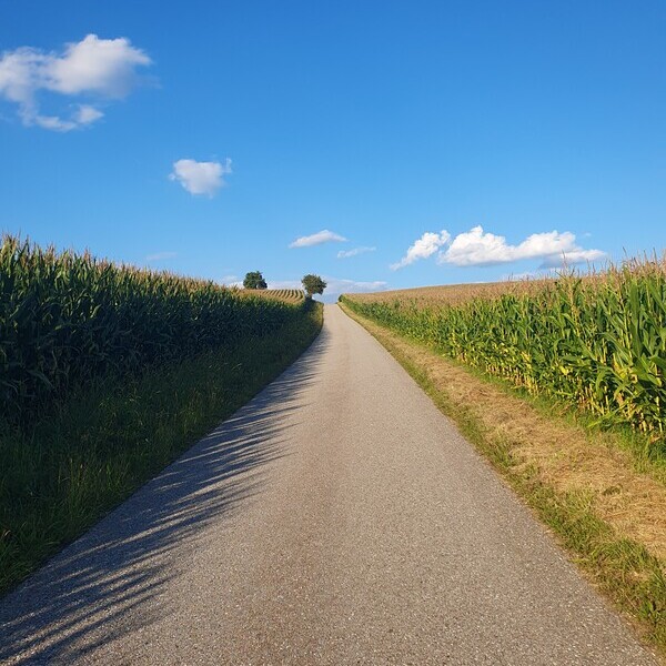 Straße ins Nirgendwo