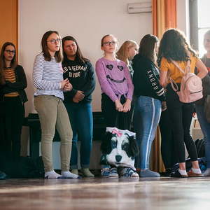 Firmung Sarleinsbach 2019