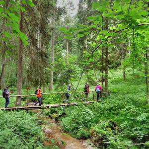 des Männerstammtisches