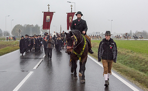 Leonhardiritt in Pettenbach 2016.