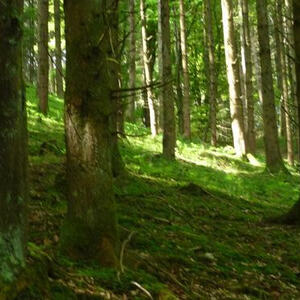 Firmvorbereitung und Firmung