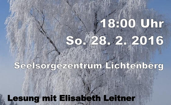 Einladung zur Lesung Elisabeth Leitner