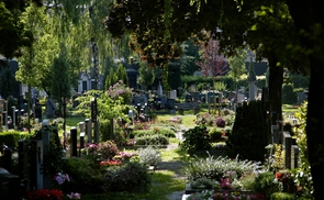 St. Barbara-Friedhof Linz © NIK FLEISCHMANN
